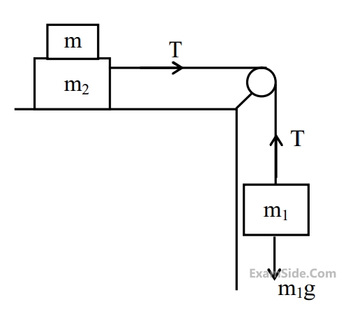 JEE Main 2018 (Offline) Physics - Laws of Motion Question 95 English